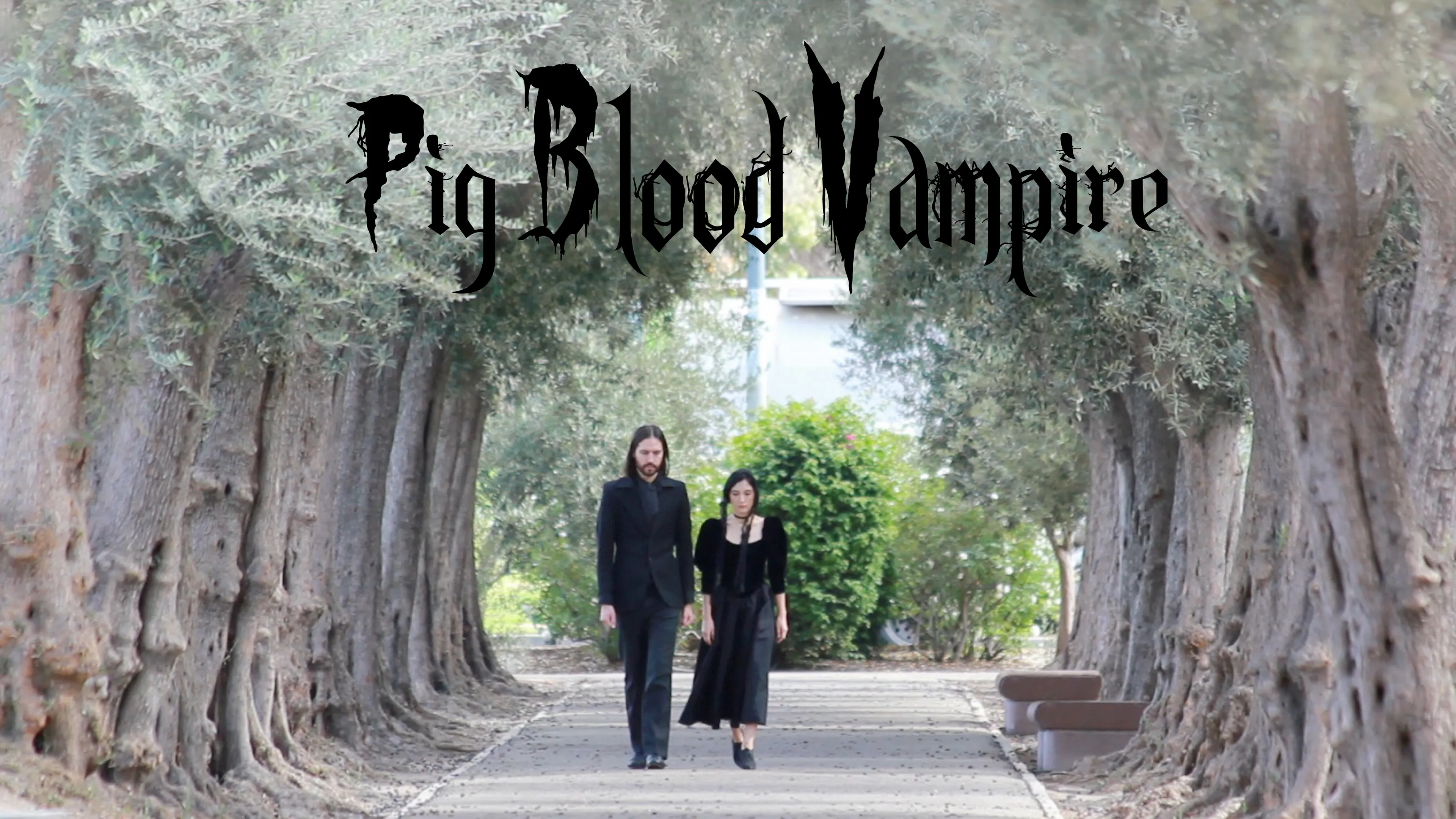 Pig Blood Vampire poster